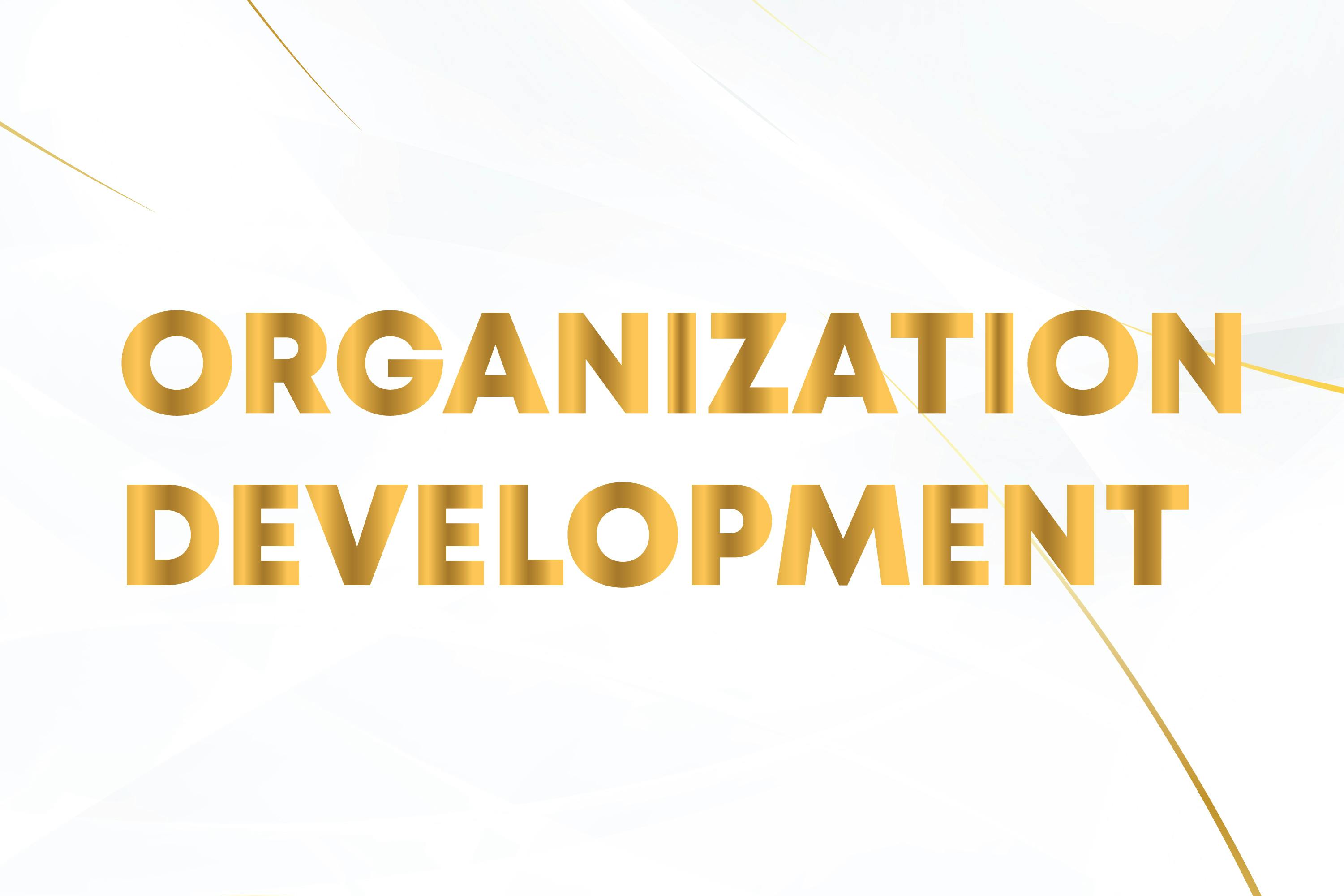 Agile 4.0 Organization Development
